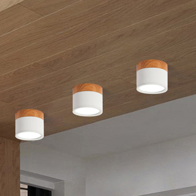 SereniGlow | Small Ceiling Lamp in Style