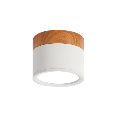 SereniGlow | Small Ceiling Lamp in Style