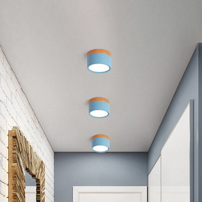 SereniGlow | Small Ceiling Lamp in Style