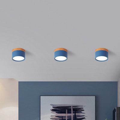 SereniGlow | Small Ceiling Lamp in Style