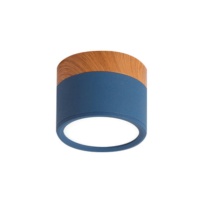 SereniGlow | Small Ceiling Lamp in Style
