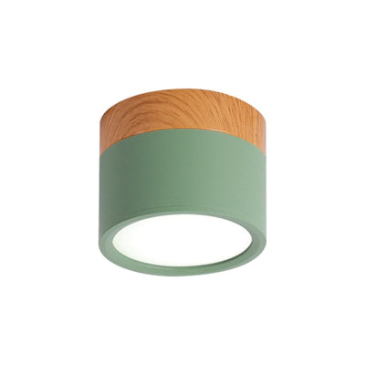 SereniGlow | Small Ceiling Lamp in Style