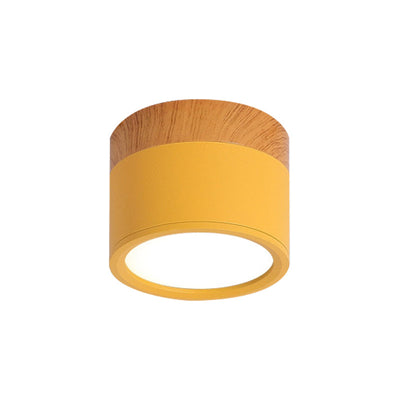 SereniGlow | Small Ceiling Lamp in Style