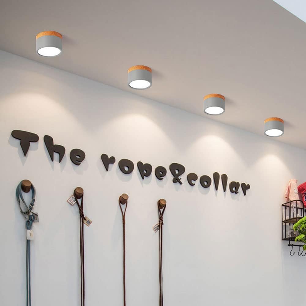 SereniGlow | Small Ceiling Lamp in Style