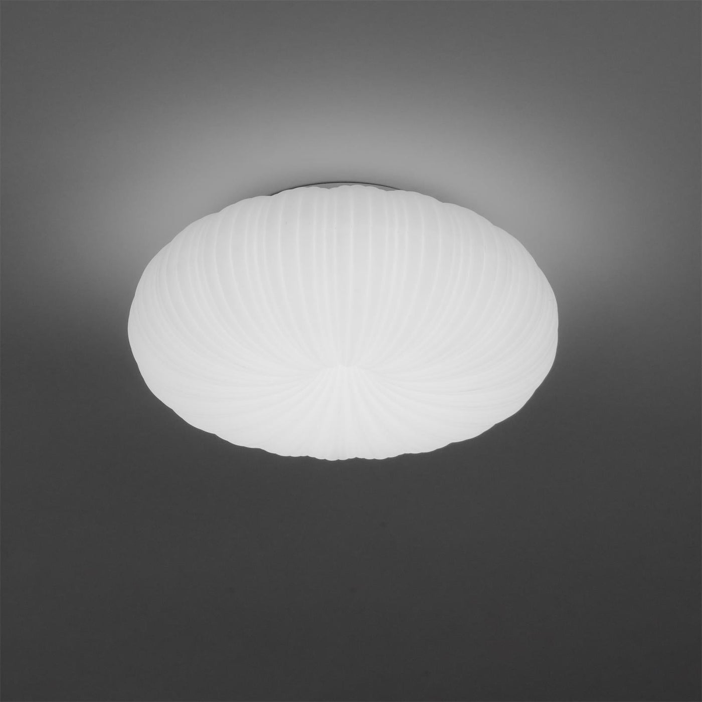 RadiantVibe | Elegant Shape ceiling light | Lamp Lounge