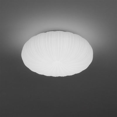 RadiantVibe | Elegant Shape ceiling light | Lamp Lounge
