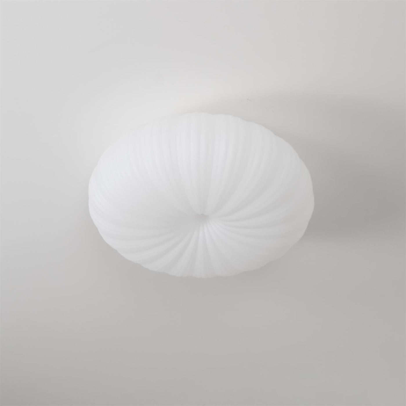RadiantVibe | Elegant Shape ceiling light | Lamp Lounge