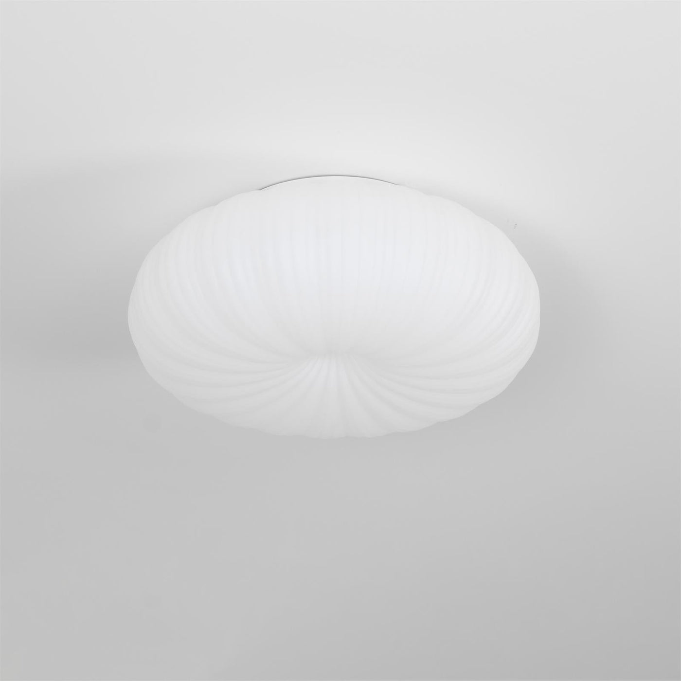 RadiantVibe | Elegant Shape ceiling light | Lamp Lounge