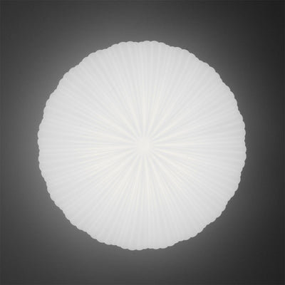RadiantVibe | Elegant Shape ceiling light | Lamp Lounge