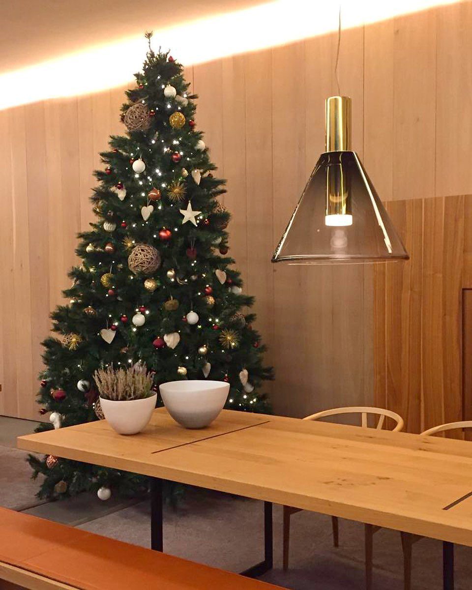 RadiantEcho | Modern pendant light | Lamp Lounge