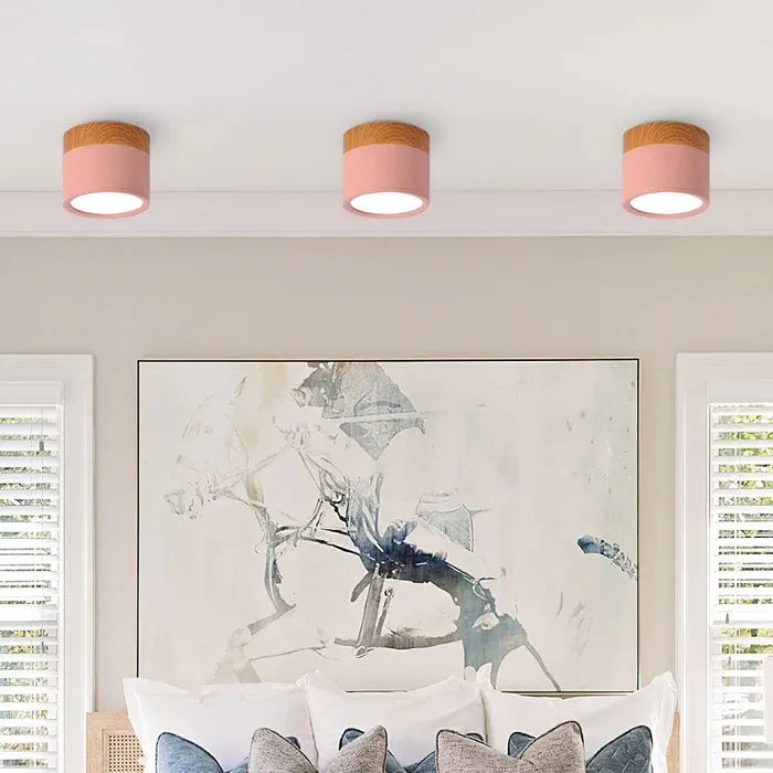 SereniGlow | Small Ceiling Lamp in Style