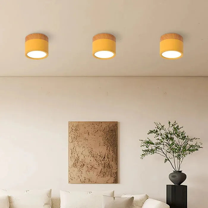 SereniGlow | Small Ceiling Lamp in Style