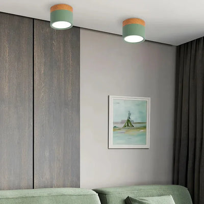 SereniGlow | Small Ceiling Lamp in Style