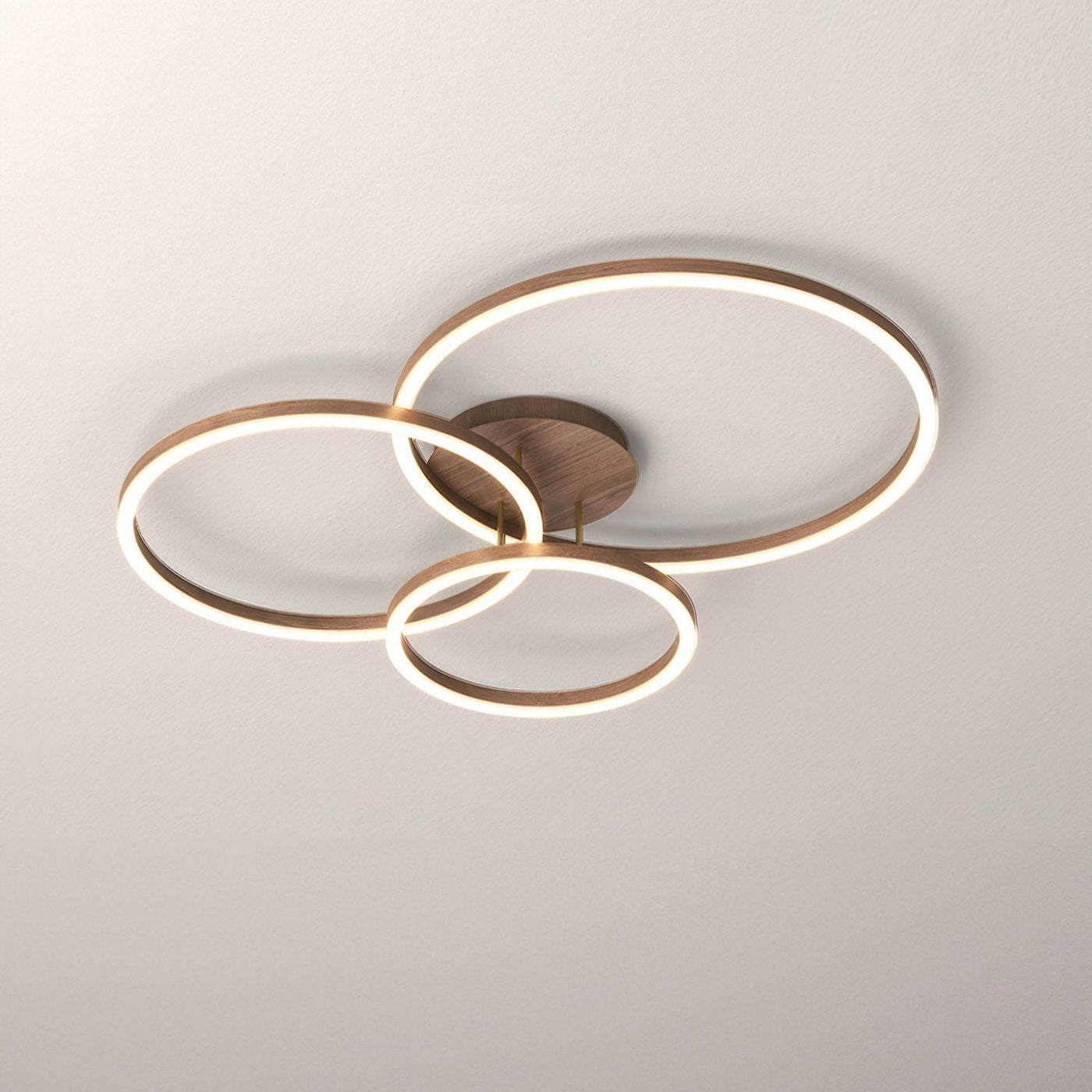 LightPulse | Elegant ring ceiling light | Lamp Lounge